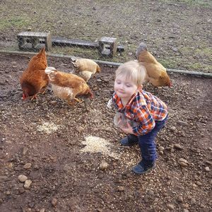 Meet your Posher, Sue